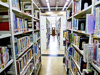 圖書館藏書標簽模板 免費下載與高效管理指南