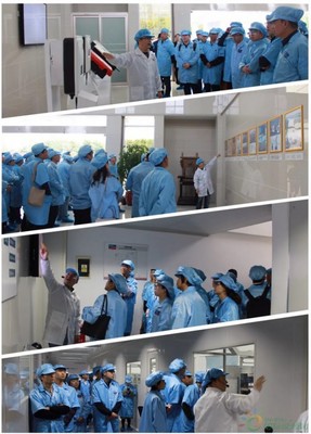 聚享綠色能源，共筑智能未來——SMA揚(yáng)中工廠開放日活動圓滿落幕